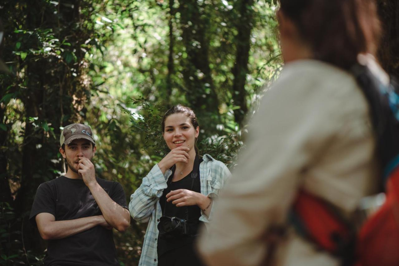 Lodge Parque Tepuhueico Castro Εξωτερικό φωτογραφία